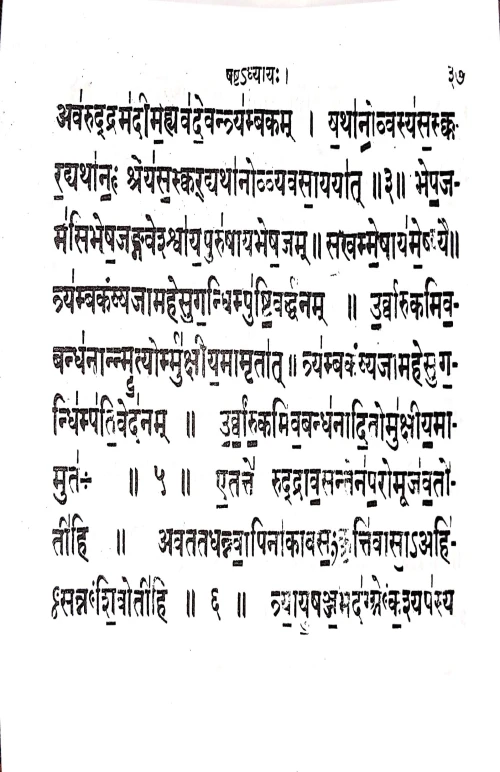 Suklayejurvediyrudrastadhyayi