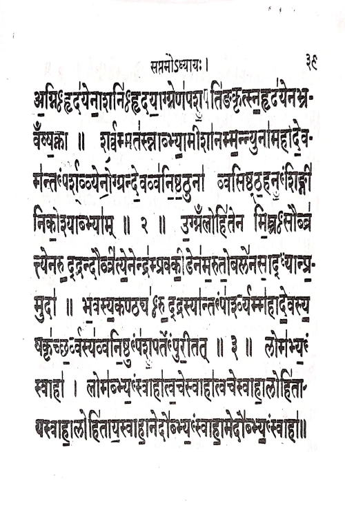 Suklayejurvediyrudrastadhyayi
